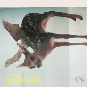 NORTHERN LIGHTS//