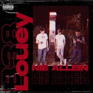 Nie allein