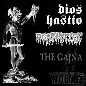 The Gajna 的头像