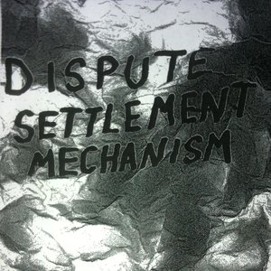 Dispute Settlement Mechanism 的头像