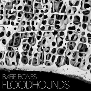 Bare Bones - Single