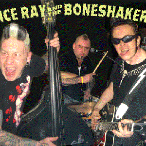 Vince Ray and the Boneshakers 的头像