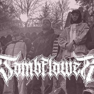 Tombflower 的头像