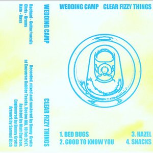 Clear Fizzy Things
