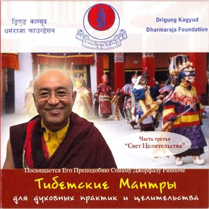 Avatar for Sonam Djorfal Rinpoche
