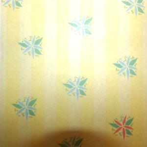 A Patterned Length of Light