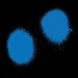 Black and Blue - EP