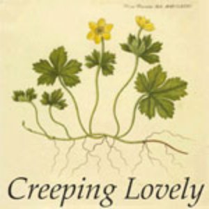 'Creeping Lovely'の画像