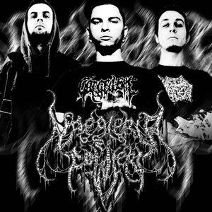 Naegleria Fowleri 的头像