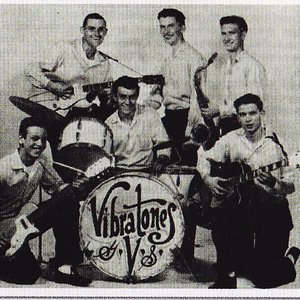The Vibratones 的头像