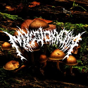 Early Studies On The Subject