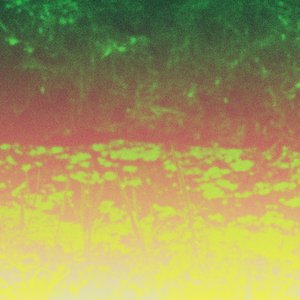 Nocturnal Pollutions