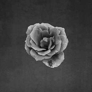 Rudimentary Science