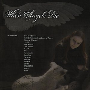 “When Angels Die - A Benefit Compilation”的封面