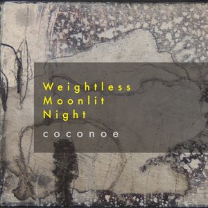 Weightless Moonlit Night