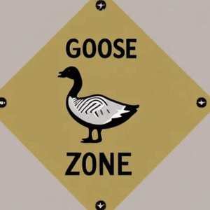 Goose Zone