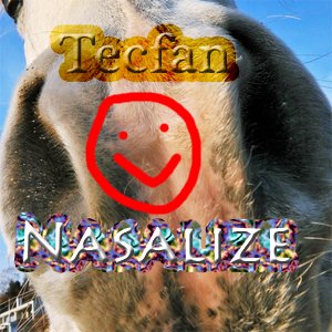 “Nasalize”的封面
