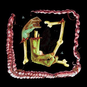Ivy-League Zombie 的头像