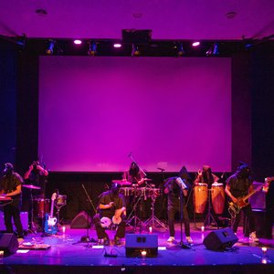 Avatar for Perro Agradecido