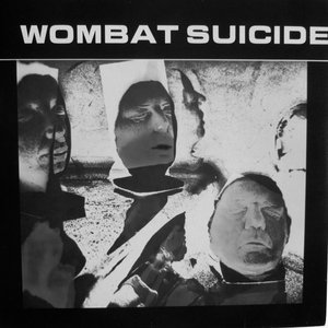 Wombat Suicide