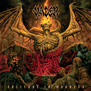 Solitude in Madness cover