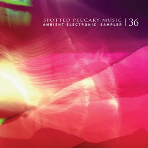 36 - Free Ambient Electronic Sampler