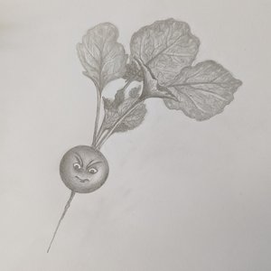 “FS_PRODUCE”的封面