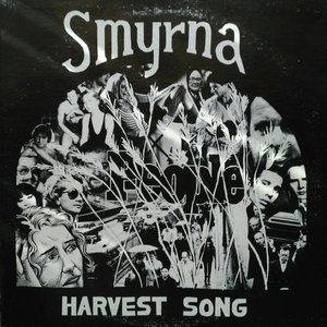 Smyrna 的头像