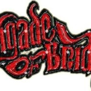 Avatar de Brigade Of Bridge