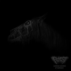 Careless Pursuit Of Radiance