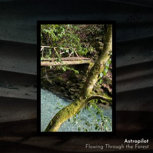 Flowing Through the Forest