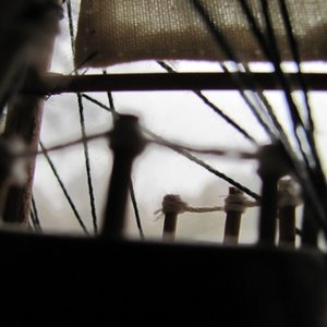(A) in Mono 的头像