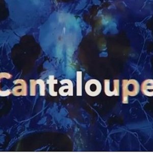 Cantaloupe