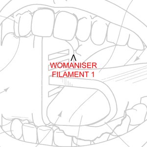 WOMANISER / FILAMENT 1