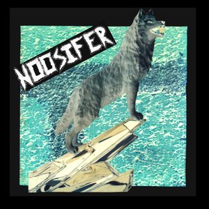NOOSIFER