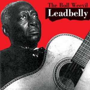 Avatar for Boll Weevil