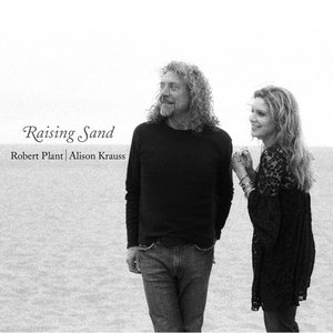 Image for 'Raising Sand'