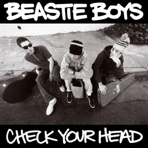 'Check Your Head'の画像