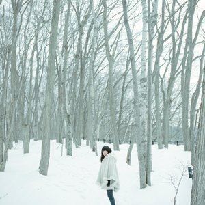 Poet from the northern sea
