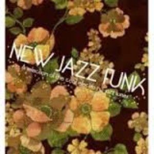 Fauna Flash feat. Deidra Jones 的头像