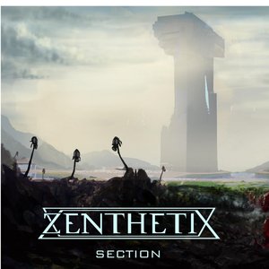 Section