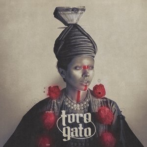 Toro Gato