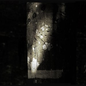 Avatar for Ethan Syann