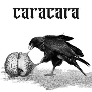 Vagrant Witness Cantos