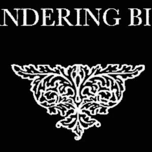 Wandering Bird 的头像