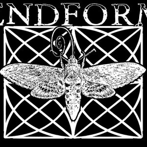 Avatar for endform