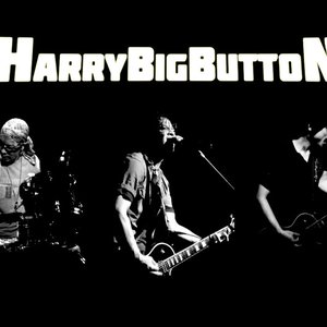 Avatar for HarryBigButton