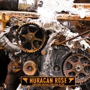 Huracán Rose için avatar
