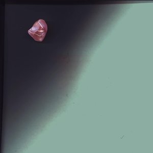 Only White Walls in Rooms - EP