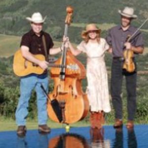 Defiance Stringband 的头像
